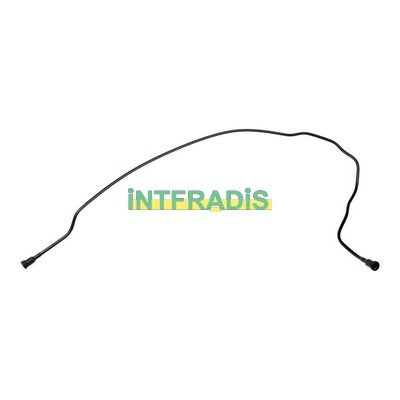 INTFRADIS 102102