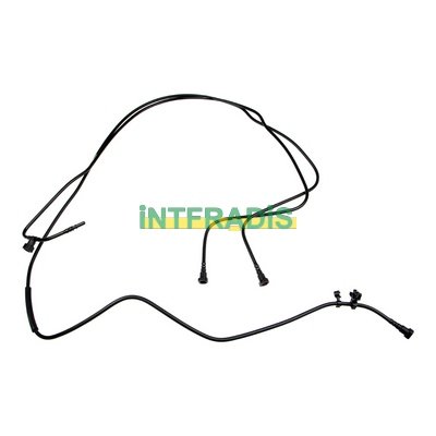INTFRADIS 10269