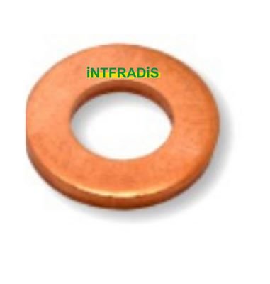INTFRADIS 10163