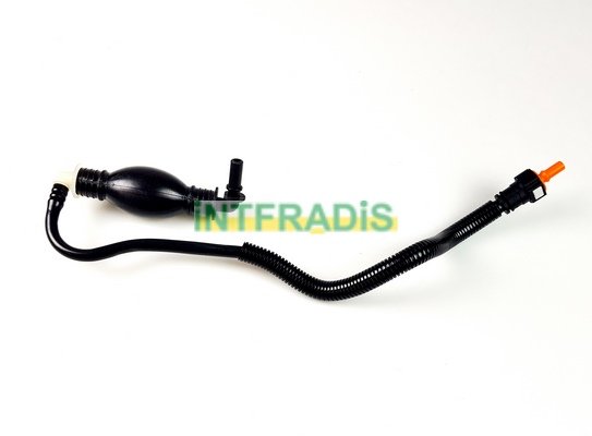 INTFRADIS 102106