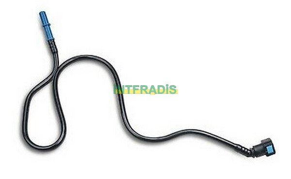 INTFRADIS 10255