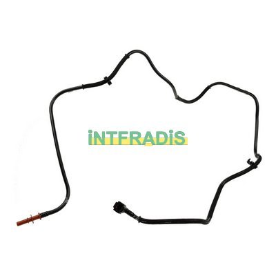 INTFRADIS 10272