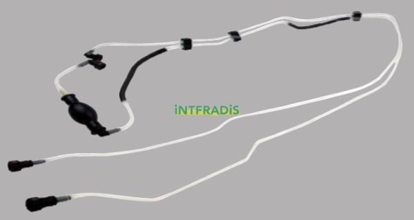 INTFRADIS 10217