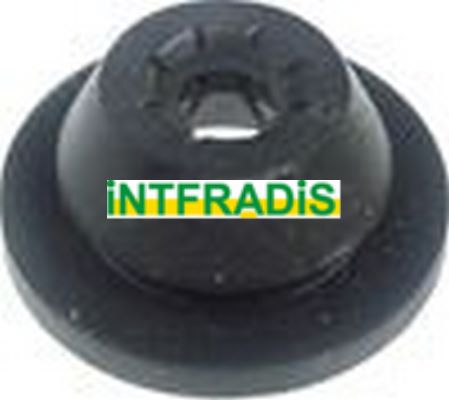 INTFRADIS 1996