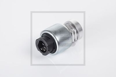 PE Automotive 080.119-00A PE Automotive 080.119-00A