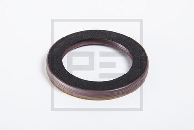 PE Automotive 250.217-00A PE Automotive 250.217-00A