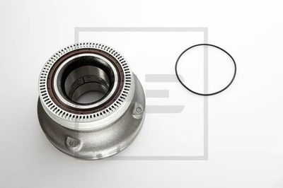 PE Automotive 250.101-00A PE Automotive 250.101-00A