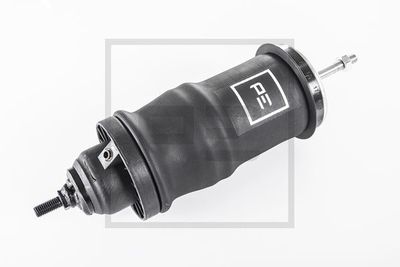 PE Automotive 123.171-00A