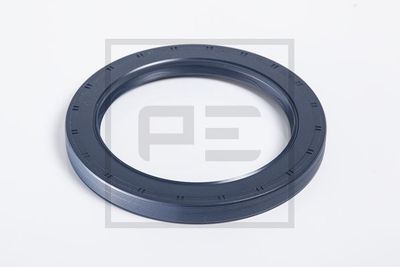 PE Automotive 250.216-00A