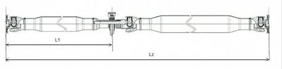 GKN GKNP20021