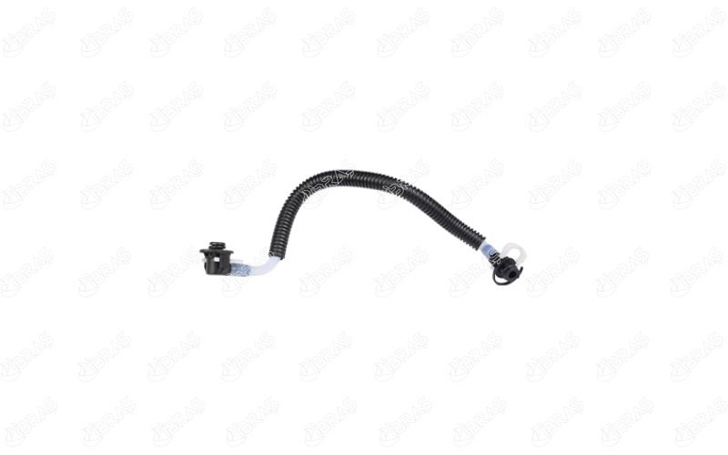 IBRAS 33582 IBRAS 33582