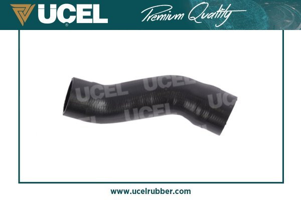 UCEL 65207