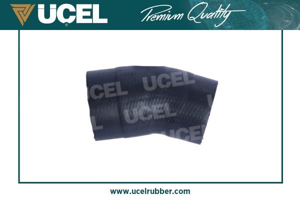 UCEL 65309