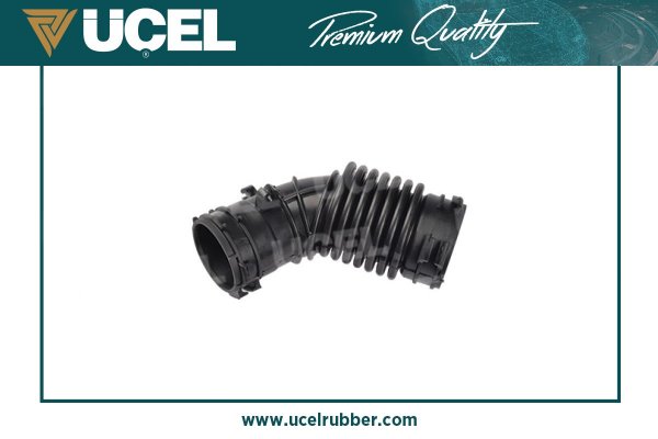 UCEL 16136