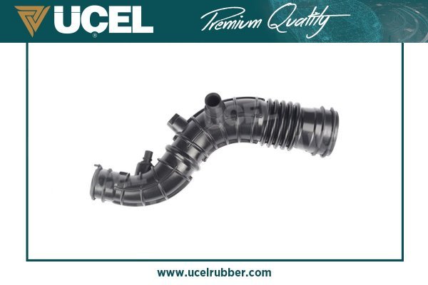 UCEL 16055