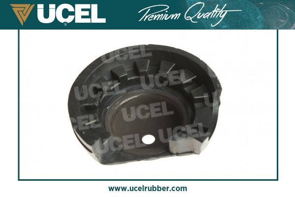 UCEL 10901