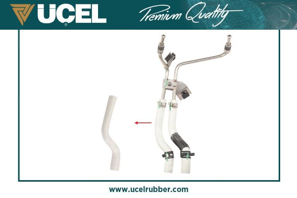 UCEL 16202