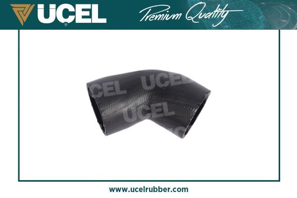 UCEL 65317