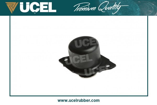 UCEL 61101