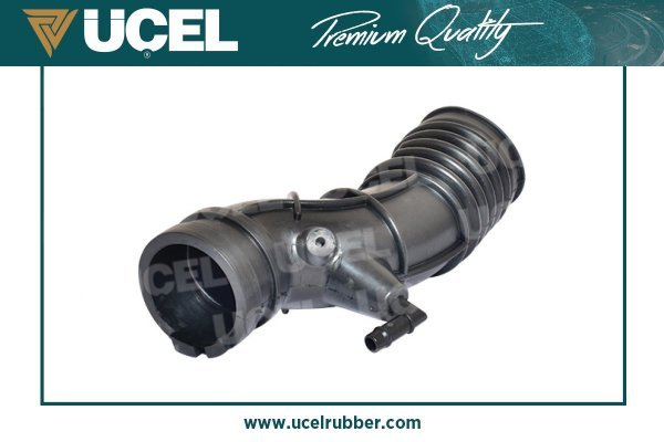 UCEL 15906