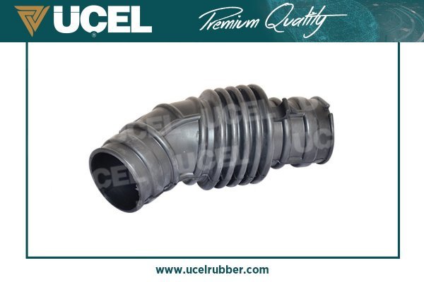 UCEL 95216