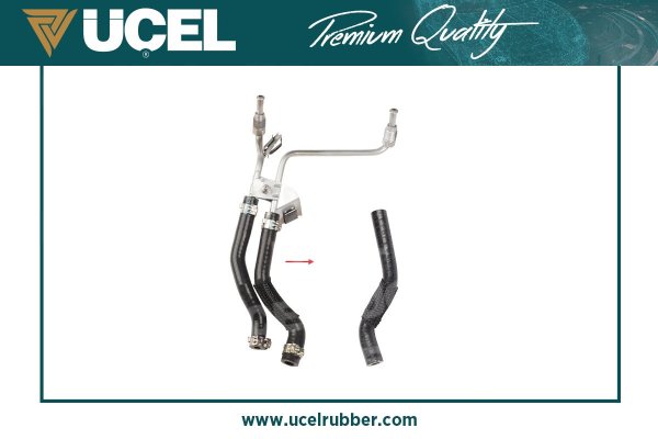 UCEL 16205