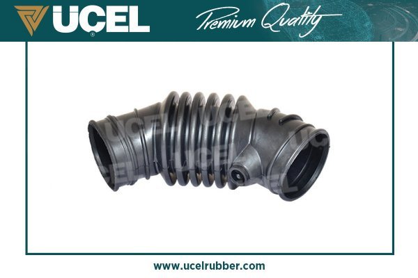 UCEL 95310