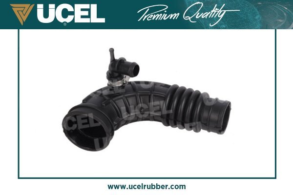 UCEL 35589