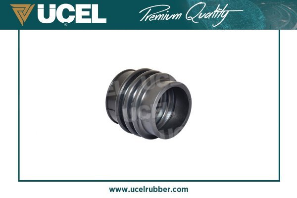UCEL 85310