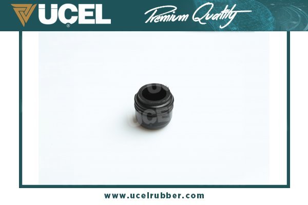 UCEL 10111