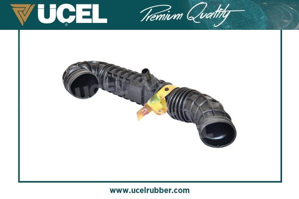 UCEL 35493