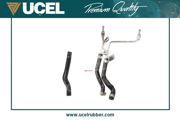 UCEL 16204