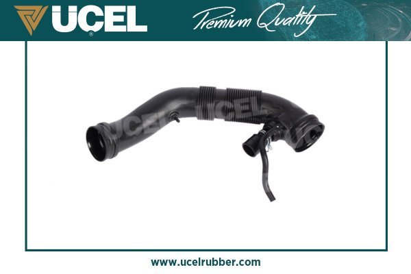 UCEL 65166