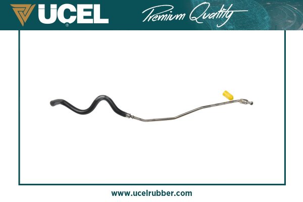 UCEL 16181