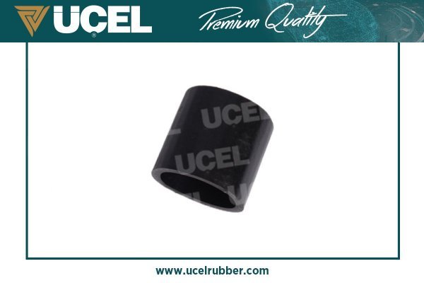 UCEL 65381