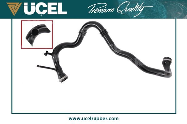 UCEL 15981