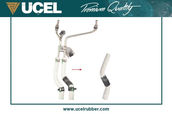 UCEL 16203