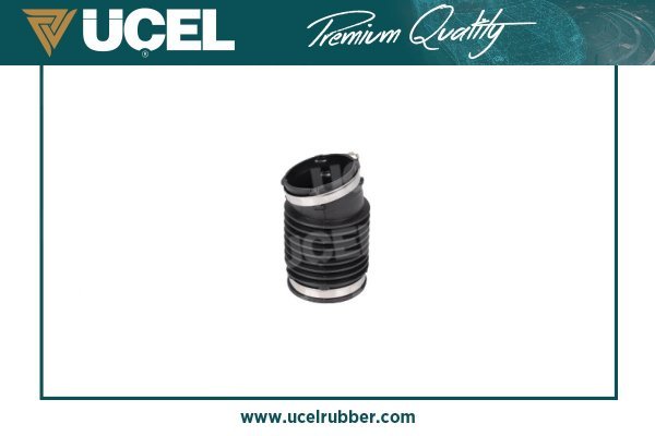 UCEL 21295
