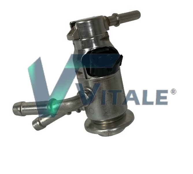 VITALE JE834999
