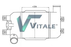 VITALE NI461400