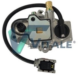 VITALE RE965284 VITALE RE965284