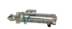 VITALE RVI052155