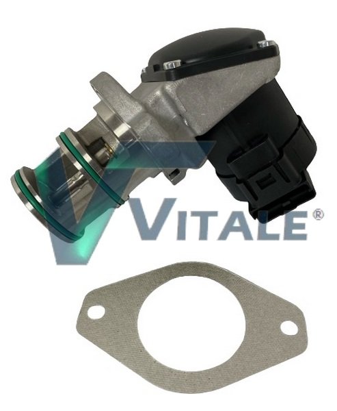 VITALE JD537143