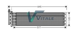 VITALE IV155695