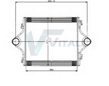 VITALE MA96977