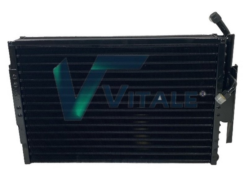 VITALE DZ510484