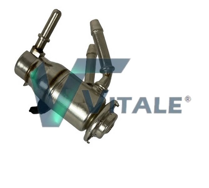 VITALE FO409440