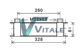 VITALE DZ148948