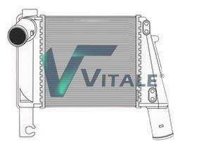 VITALE NI446100