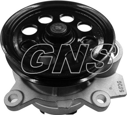 GNS YH-F300